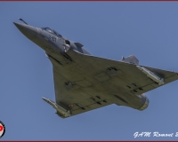 TSR Watermark - 0449